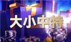 澳门490491V