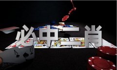 澳门单双材料体验服下载V